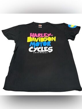 Harley Davidson Legendary Colorful Text T-shirt Pigeon Forge TN Large